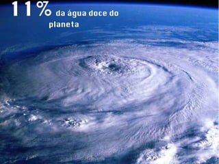 11%   da água doce do planeta 