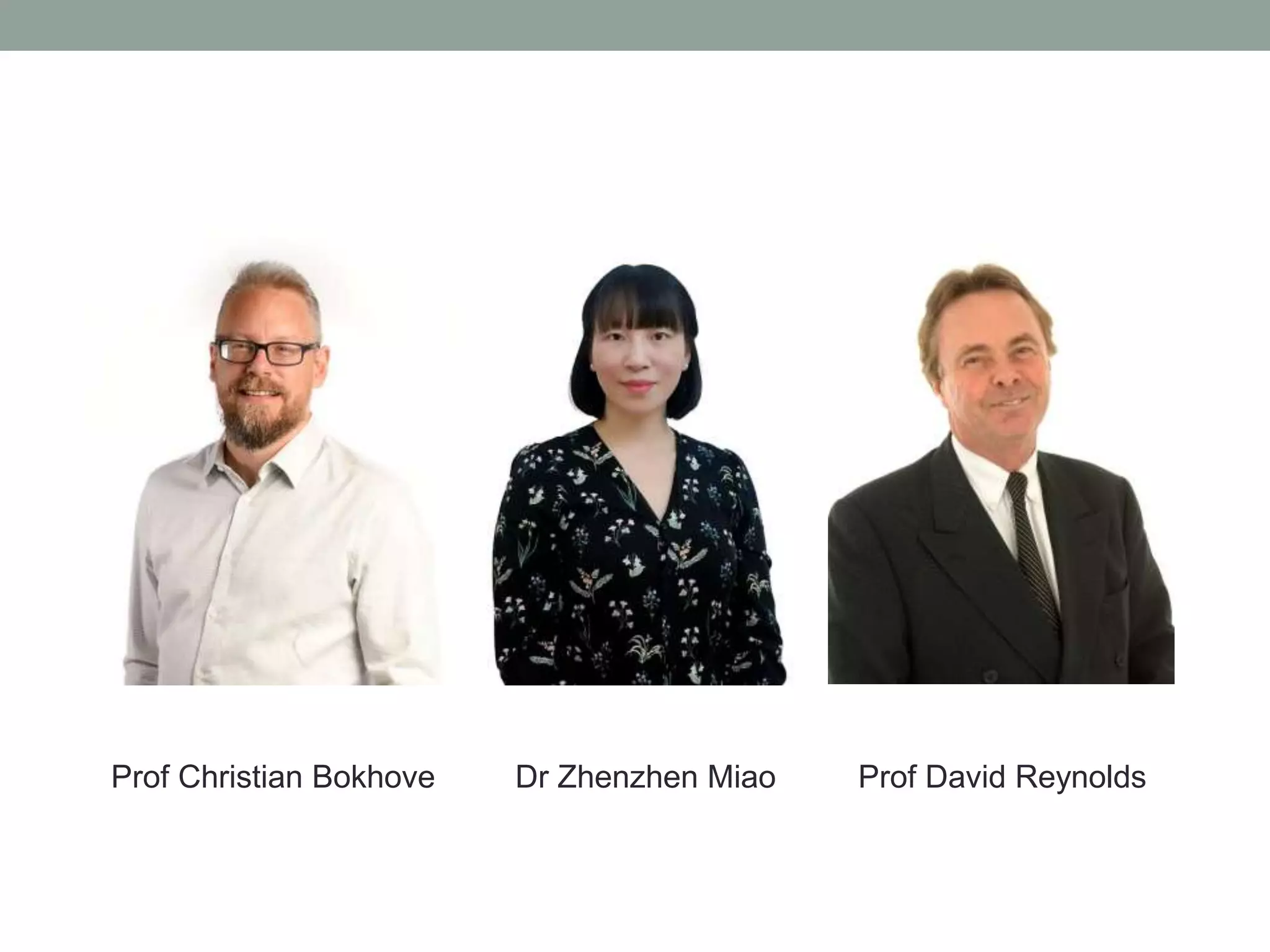 Prof Christian Bokhove Dr Zhenzhen Miao Prof David Reynolds
 