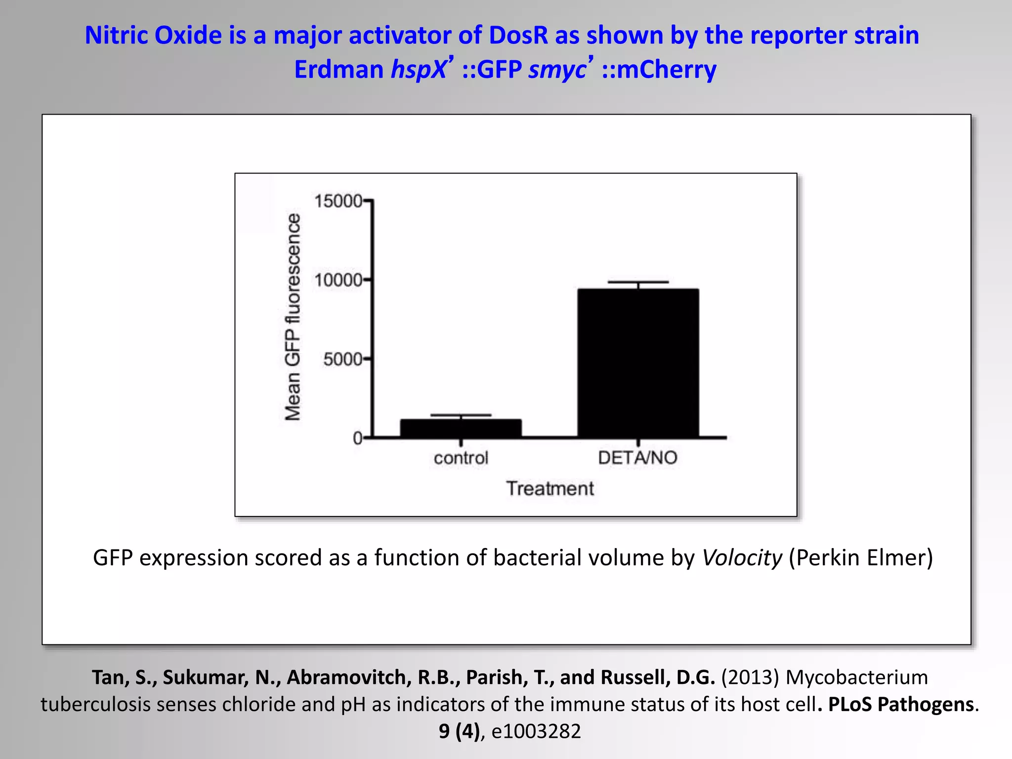 Nitric Oxide is a major activator of DosR as shown by the reporter strain
Erdman hspX’::GFP smyc’::mCherry
GFP expression scored as a function of bacterial volume by Volocity (Perkin Elmer)
Tan, S., Sukumar, N., Abramovitch, R.B., Parish, T., and Russell, D.G. (2013) Mycobacterium
tuberculosis senses chloride and pH as indicators of the immune status of its host cell. PLoS Pathogens.
9 (4), e1003282
 