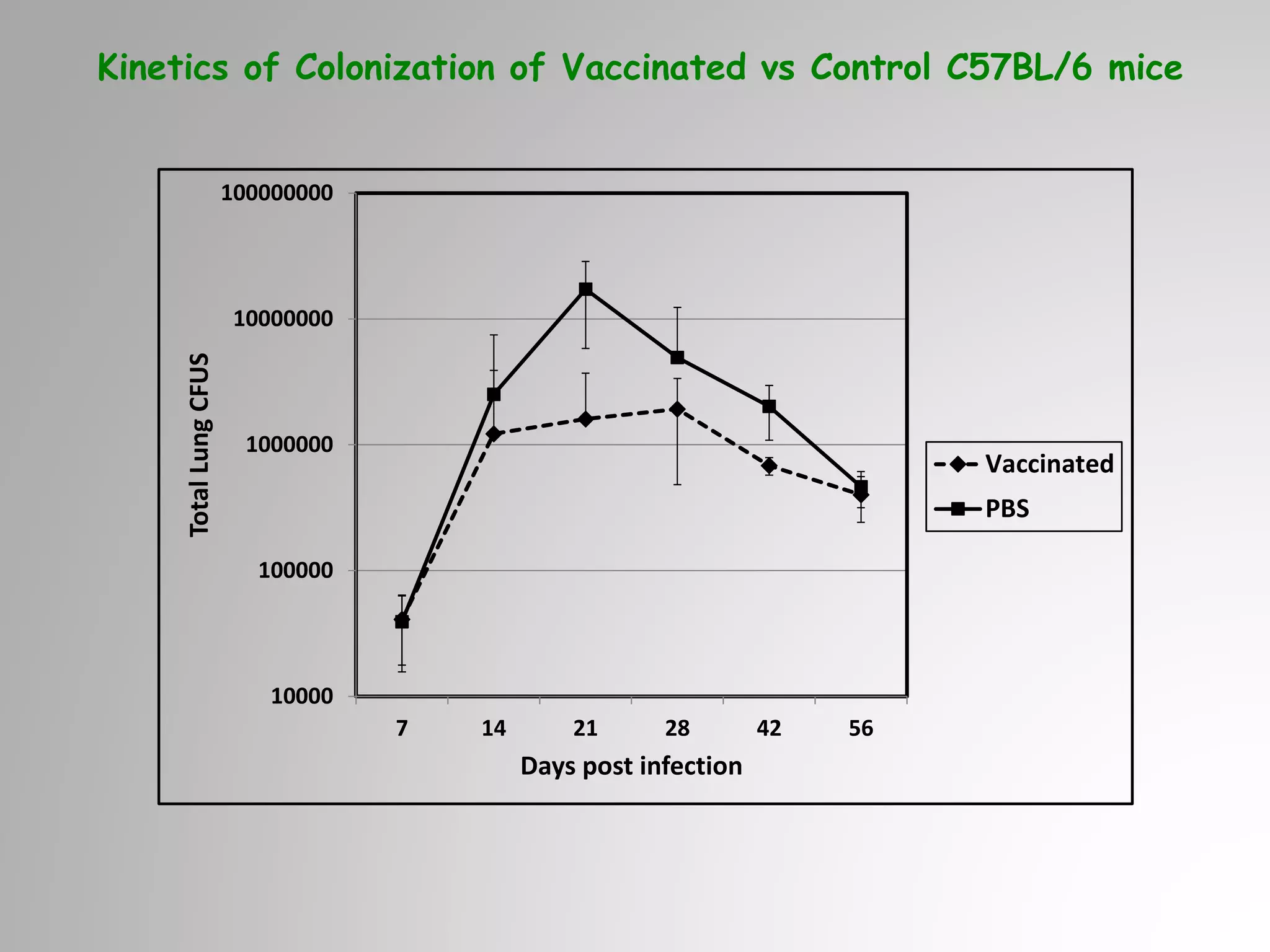 10000
100000
1000000
10000000
100000000
7 14 21 28 42 56
TotalLungCFUS
Days post infection
Vaccinated
PBS
Kinetics of Colonization of Vaccinated vs Control C57BL/6 mice
 