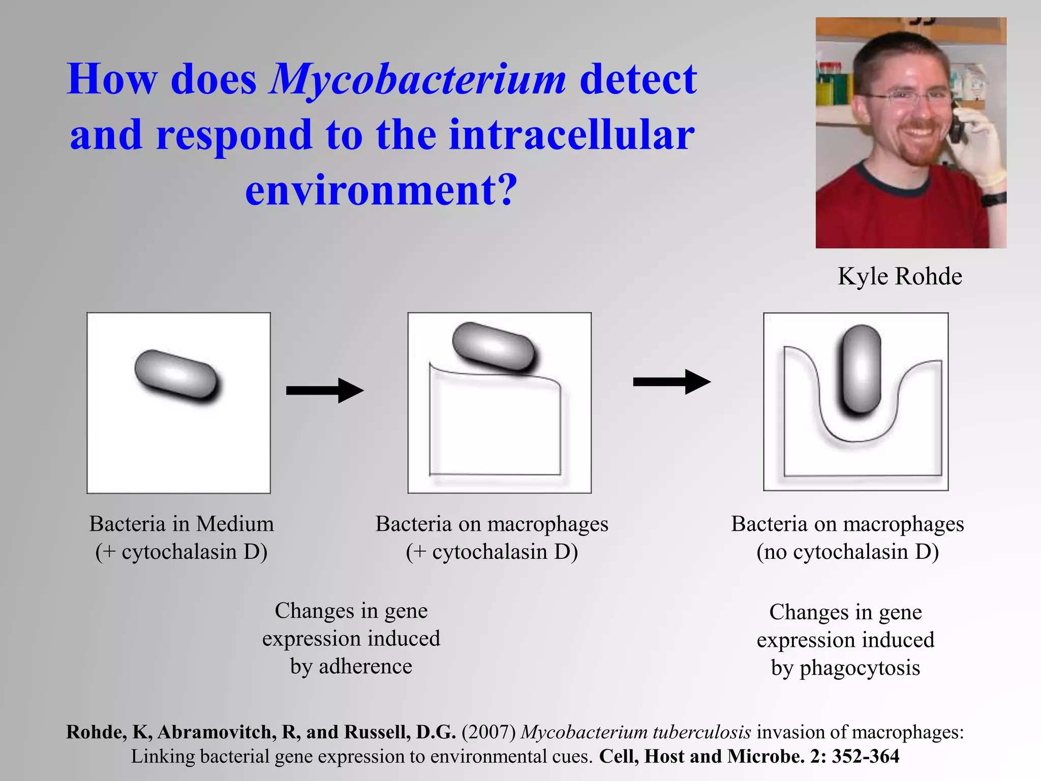 Bacteria in Medium
(+ cytochalasin D)
Bacteria on macrophages
(+ cytochalasin D)
Changes in gene
expression induced
by adherence
Bacteria on macrophages
(no cytochalasin D)
Changes in gene
expression induced
by phagocytosis
How does Mycobacterium detect
and respond to the intracellular
environment?
Kyle Rohde
Rohde, K, Abramovitch, R, and Russell, D.G. (2007) Mycobacterium tuberculosis invasion of macrophages:
Linking bacterial gene expression to environmental cues. Cell, Host and Microbe. 2: 352-364
 