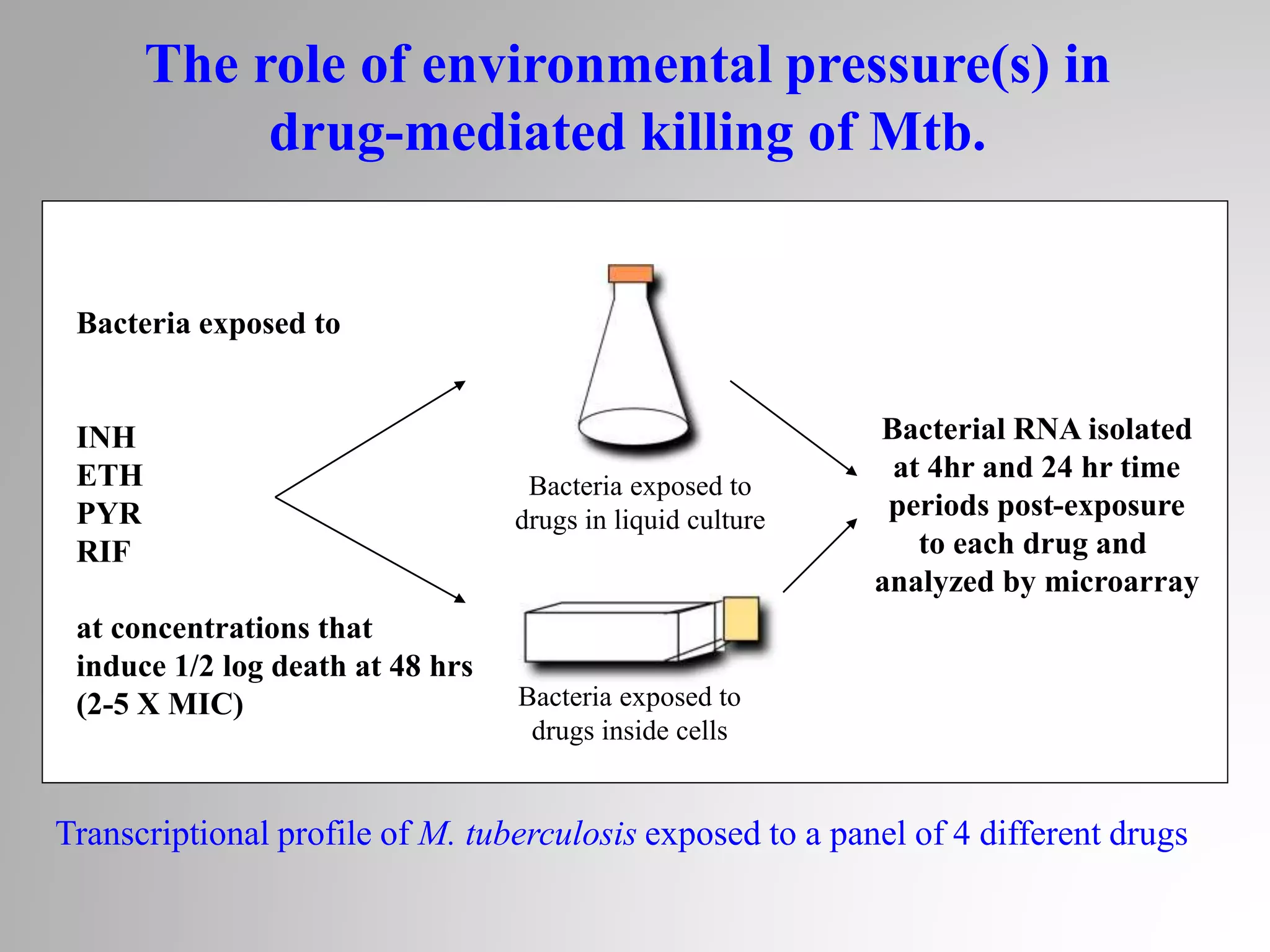 Bacteria exposed to
drugs inside cells
Bacteria exposed to
drugs in liquid culture
Bacteria exposed to
INH
ETH
PYR
RIF
at concentrations that
induce 1/2 log death at 48 hrs
(2-5 X MIC)
Bacterial RNA isolated
at 4hr and 24 hr time
periods post-exposure
to each drug and
analyzed by microarray
Transcriptional profile of M. tuberculosis exposed to a panel of 4 different drugs
The role of environmental pressure(s) in
drug-mediated killing of Mtb.
 
