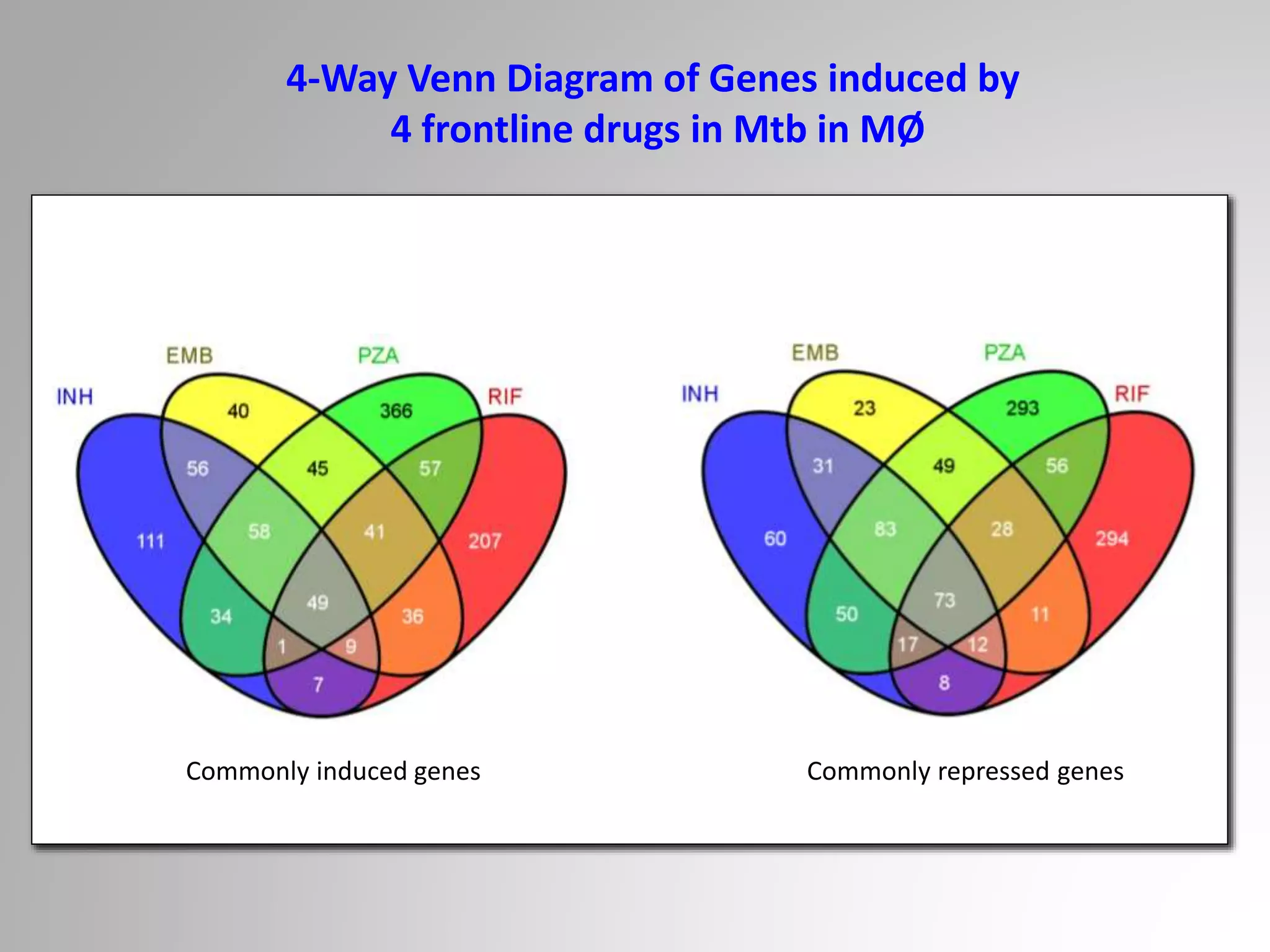 Commonly induced genes Commonly repressed genes
4-Way Venn Diagram of Genes induced by
4 frontline drugs in Mtb in MØ
 