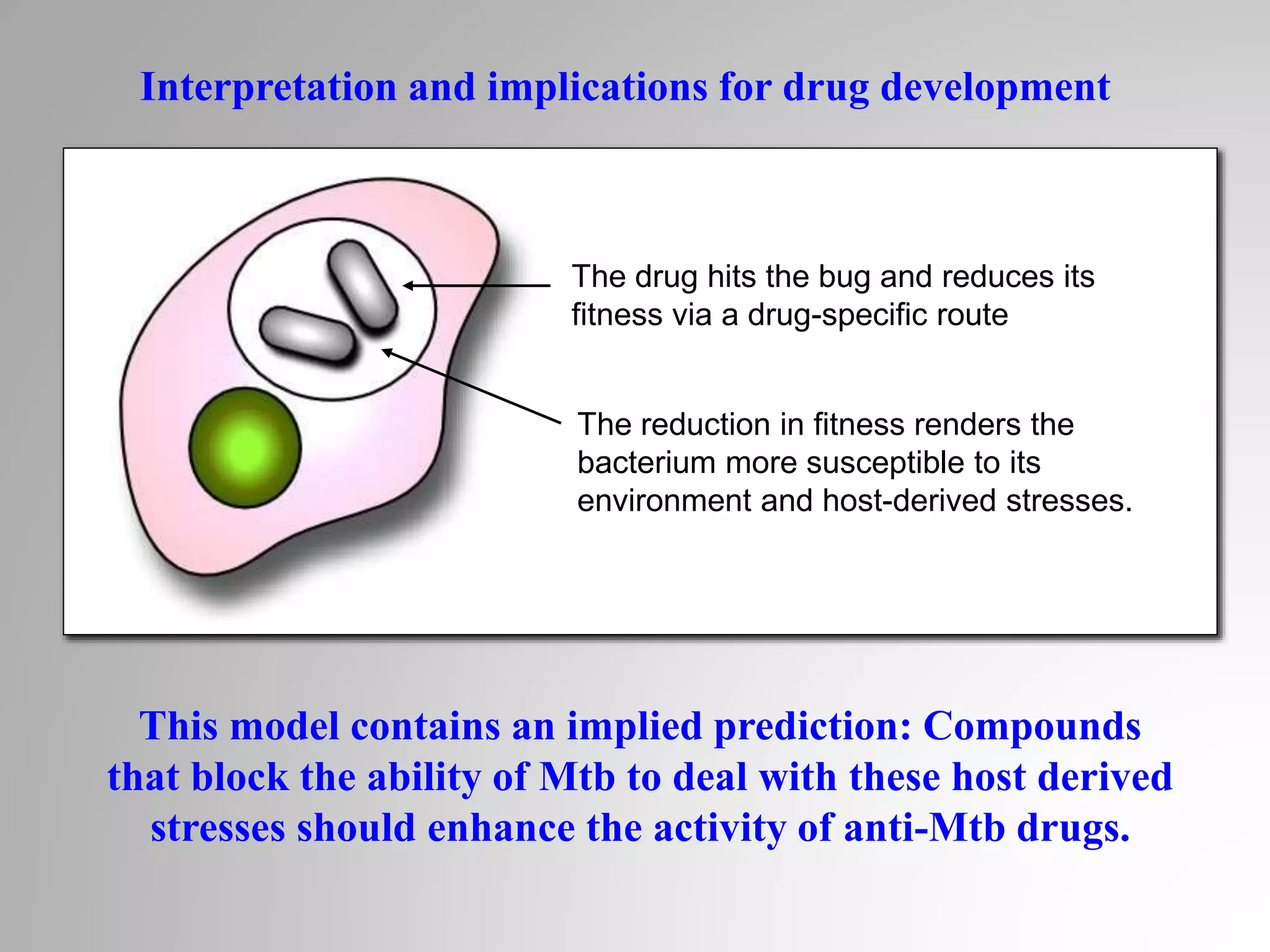 Interpretation and implications for drug development
The drug hits the bug and reduces its
fitness via a drug-specific route
The reduction in fitness renders the
bacterium more susceptible to its
environment and host-derived stresses.
This model contains an implied prediction: Compounds
that block the ability of Mtb to deal with these host derived
stresses should enhance the activity of anti-Mtb drugs.
 