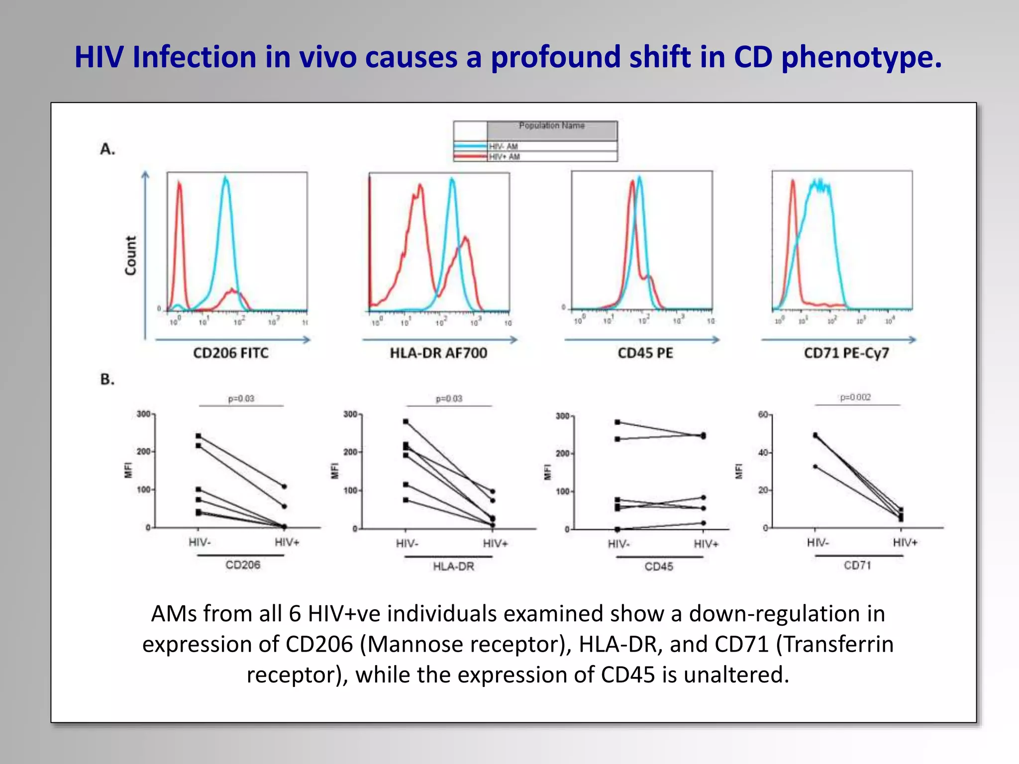 HIV Infection in vivo causes a profound shift in CD phenotype.
AMs from all 6 HIV+ve individuals examined show a down-regulation in
expression of CD206 (Mannose receptor), HLA-DR, and CD71 (Transferrin
receptor), while the expression of CD45 is unaltered.
 