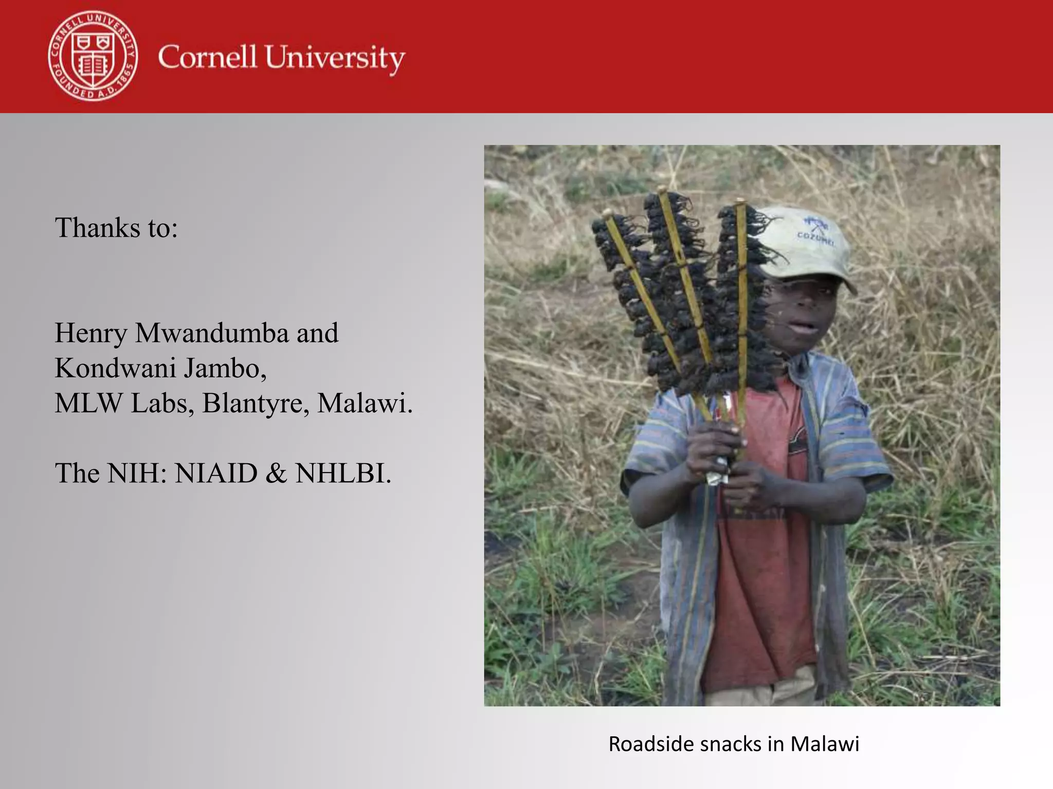 Thanks to:
Henry Mwandumba and
Kondwani Jambo,
MLW Labs, Blantyre, Malawi.
The NIH: NIAID & NHLBI.
Roadside snacks in Malawi
 