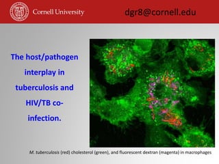 The host/pathogen
interplay in
tuberculosis and
HIV/TB co-
infection.
dgr8@cornell.edu
M. tuberculosis (red) cholesterol (green), and fluorescent dextran (magenta) in macrophages
 