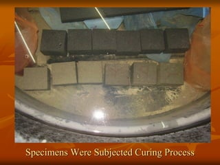 Specimens Were Subjected Curing Process
 