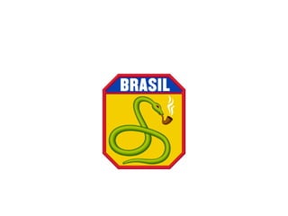 A era vargas