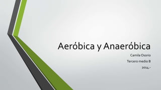 Aeróbica y Anaeróbica 
Camila Osorio 
Tercero medio B 
2014.- 
 