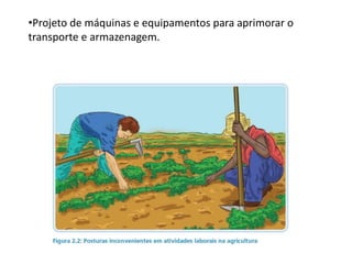 •Projeto de máquinas e equipamentos para aprimorar o
transporte e armazenagem.
 