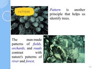 134
Pattern is another
principle that helps us
identify trees.
The man-made
patterns of fields,
orchards, and roads
contrast with
nature's patterns of
river and forest.
 