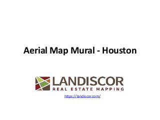Aerial Map Mural - Houston
https://landiscor.com/
 