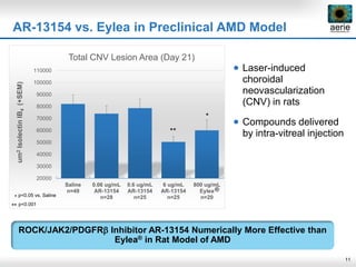 11
 Laser-induced
choroidal
neovascularization
(CNV) in rats
 Compounds delivered
by intra-vitreal injection
AR-13154 vs. Eylea in Preclinical AMD Model
ROCK/JAK2/PDGFRb Inhibitor AR-13154 Numerically More Effective than
Eylea® in Rat Model of AMD
20000
30000
40000
50000
60000
70000
80000
90000
100000
110000
Saline
n=49
0.06 ug/mL
AR-13154
n=28
0.6 ug/mL
AR-13154
n=25
6 ug/mL
AR-13154
n=25
800 ug/mL
Eylea
n=20
um2IsolectinIB4(+SEM)
Total CNV Lesion Area (Day 21)
**
*
* p<0.05 vs. Saline
** p<0.001
®
 