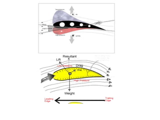 Aerodinamik
