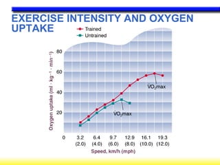 EXERCISE INTENSITY AND OXYGEN UPTAKE 