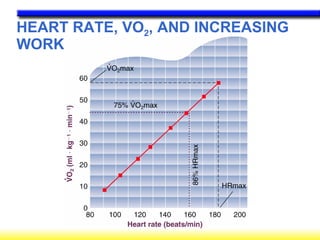 HEART RATE, VO 2 , AND INCREASING WORK . 