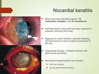 Nocardial keratitis
 Most commonly identified agents -“N.
asteroides complex” and N. brasiliensis
 Well described in Asia and has been reported in
travelers returning from Asia
 Aggressive ocular infection, typically following
corneal trauma or minor surgical procedures to
the eye
 Appropriate therapy - keratitis resolves with
good visual outcomes
 Nocardial endophthalmitis can develop :
 after eye surgery.
 during disseminated disease.
 