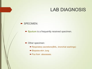 LAB DIAGNOSIS
 SPECIMEN:
 Sputum is a frequently received specimen.
 Other specimen:
 Respiratory secretions(BAL, bronchial washings)
 Biopsies-skin ,lung
 Pus from abscesses.
 
