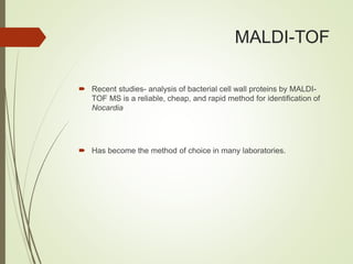 MALDI-TOF
 Recent studies- analysis of bacterial cell wall proteins by MALDI-
TOF MS is a reliable, cheap, and rapid method for identification of
Nocardia
 Has become the method of choice in many laboratories.
 