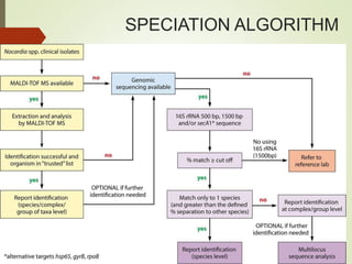 SPECIATION ALGORITHM
 