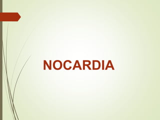 NOCARDIA
 
