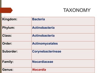 TAXONOMY
Kingdom: Bacteria
Phylum: Actinobacteria
Class: Actinobacteria
Order: Actinomycetales
Suborder: Corynebacterineae
Family: Nocardiaceae
Genus: Nocardia
 