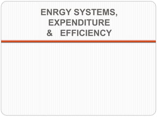 ENRGY SYSTEMS,
EXPENDITURE
& EFFICIENCY
 