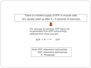 There is a limited supply of ATP in muscle cells
(it’s usually used up after 3 – 5 seconds of exercise)
Note: ATP: Adenosine triphosphate
ADP: Adenosine diphosphate
P: Phosphate
For exercise to continue, ATP has to be
re-generated from ADP using energy
obtained from other sources.
ADP + P ATP
 