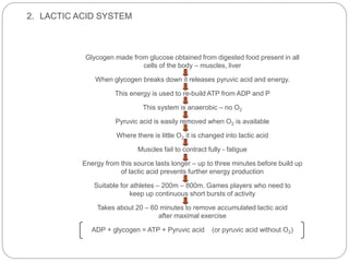 2. LACTIC ACID SYSTEM
Glycogen made from glucose obtained from digested food present in all
cells of the body – muscles, liver
When glycogen breaks down it releases pyruvic acid and energy.
This energy is used to re-build ATP from ADP and P
This system is anaerobic – no O2
Pyruvic acid is easily removed when O2 is available
Where there is little O2 it is changed into lactic acid
Muscles fail to contract fully - fatigue
Energy from this source lasts longer – up to three minutes before build up
of lactic acid prevents further energy production
Suitable for athletes – 200m – 800m. Games players who need to
keep up continuous short bursts of activity
Takes about 20 – 60 minutes to remove accumulated lactic acid
after maximal exercise
ADP + glycogen = ATP + Pyruvic acid (or pyruvic acid without O2)
 
