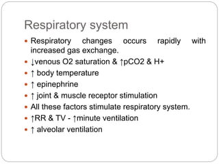 Respiratory system
 Respiratory changes occurs rapidly with
increased gas exchange.
 ↓venous O2 saturation & ↑pCO2 & H+
 ↑ body temperature
 ↑ epinephrine
 ↑ joint & muscle receptor stimulation
 All these factors stimulate respiratory system.
 ↑RR & TV - ↑minute ventilation
 ↑ alveolar ventilation
 