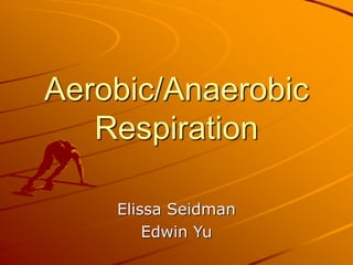 Aerobic/Anaerobic
Respiration
Elissa Seidman
Edwin Yu
 