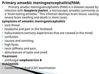 Pam Infection AEROBIC AND ANAEROBIC AMOEBA : overview. | PPTX