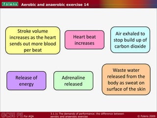 Aerobic and anaerobic exercise | PDF