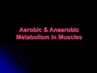 Aerobic & Anaerobic
Metabolism in Muscles
 
