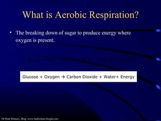 Dr Hadi Rohani,- Blog: www.hadirohani.blogfa.com
What is Aerobic Respiration?
• The breaking down of sugar to produce energy where
oxygen is present.
ATPOHCOOOHC Enzymes
36666 2226126 ++ →+
Glucose + Oxygen  Carbon Dioxide + Water+ Energy
 