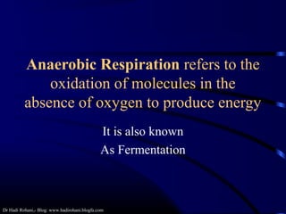 Dr Hadi Rohani,- Blog: www.hadirohani.blogfa.com
Anaerobic Respiration refers to the
oxidation of molecules in the
absence of oxygen to produce energy
It is also known
As Fermentation
 