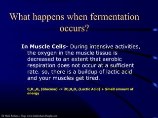 Dr Hadi Rohani,- Blog: www.hadirohani.blogfa.com
In Muscle Cells- During intensive activities,
the oxygen in the muscle tissue is
decreased to an extent that aerobic
respiration does not occur at a sufficient
rate. so, there is a buildup of lactic acid
and your muscles get tired.
C6H12O6 (Glucose) -> 2C3H6O3 (Lactic Acid) + Small amount of
energy
What happens when fermentation
occurs?
 