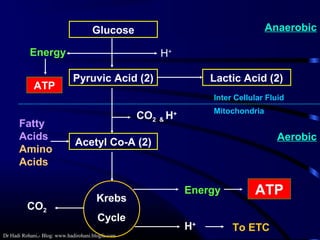Dr Hadi Rohani,- Blog: www.hadirohani.blogfa.com
Glucose
Pyruvic Acid (2)
Energy H+
Lactic Acid (2)
Acetyl Co-A (2)
CO2 & H+
Krebs
Cycle
CO2
H+
Energy ATP
ATP
Mitochondria
Inter Cellular Fluid
To ETC
Anaerobic
Aerobic
Fatty
Acids
Amino
Acids
 