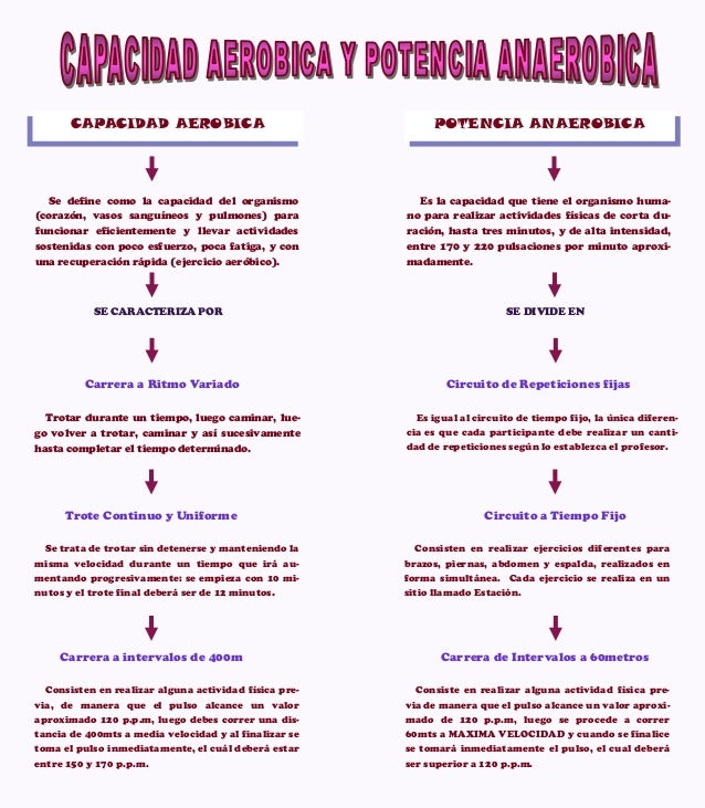 Aerobica Y Anaerobica