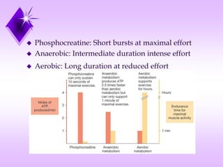  Phosphocreatine: Short bursts at maximal effort
 Anaerobic: Intermediate duration intense effort
 Aerobic: Long duration at reduced effort
 