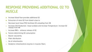 RESPONSE PROVIDING ADDITIONAL O2 TO
MUSCLE
 Increase blood flow-provides additional O2
 Extraction of more O2 from blood is due to
1. Decrease local tissue PO2-facilitate O2 unloading from HB
2. Increase CO2 Production –tissue acidosis and increase Temperature- increase O2
release from HB
3. Increase RBCs – enhance release of O2
 Factors determining O2 consumption
1. Muscle vascularity
2. Fiber distribution
3. No of mitochondria
4. Oxidative mitochondrial enzymes in muscles fibers
 
