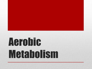 Aerobic
Metabolism
 