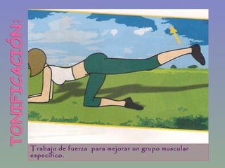 Trabajo de fuerza para mejorar un grupo muscular
especifico.
 