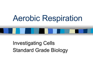 Aerobic Respiration Investigating Cells Standard Grade Biology 