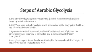 Steps of Aerobic Glycolysis
1. Initially stored glycogen is converted to glucose. Glucose is then broken
down by a series of enzymes.
2. 2 ATP are used to fuel glycolysis and 4 are created so the body gains 2 ATP to
use for muscular contraction.
3. Pyruvate is created as the end product of the breakdown of glucose. As
oxygen is present pyruvate is converted into a substance called 'acetyl
coenzyme A'.
4. Acetyl coenzyme A can then be synthesized in the second and third stages of
the aerobic system to create more ATP.
 