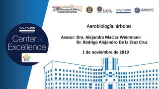 Asesor: Dra. Alejandra Macías Weinmann
Dr. Rodrigo Alejandro De la Cruz Cruz
1 de noviembre de 2019
Aerobiología: árboles
 