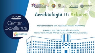 Aerobiología II: Árboles
PROFESOR ASESOR: DRA. ALEJANDRA MACÍAS WEINMANN
PONENTE: JOSÉ CARLOS RODRÍGUEZ ROMÁN
RESIDENTE DE PRIMER AÑO DE ALERGIA E INMUNOLOGÍA CLÍNICA
02/12/2022
 