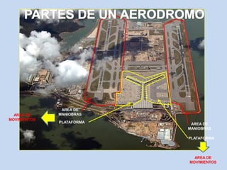 PLATAFORMA
AREA DE
MANIOBRAS
AREA DE
MANIOBRAS
PLATAFORMA
AREA DE
MOVIMIENTOS
AREA DE
MOVIMIENTOS
 