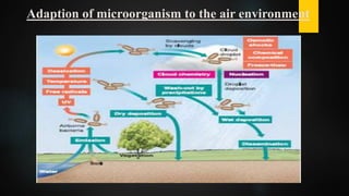 Aeromicrobiology.pptx